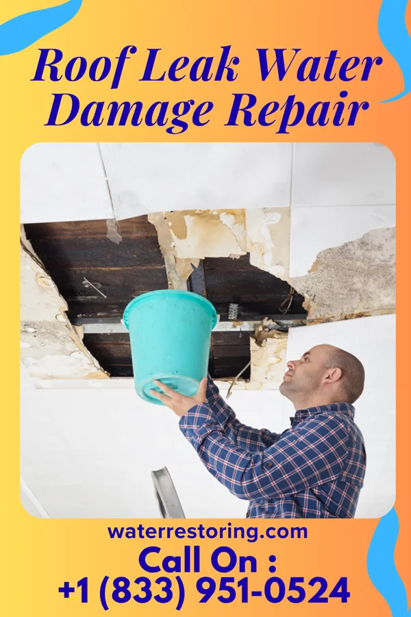Roof Leak Water Damage Repair in Ridley Park, PA