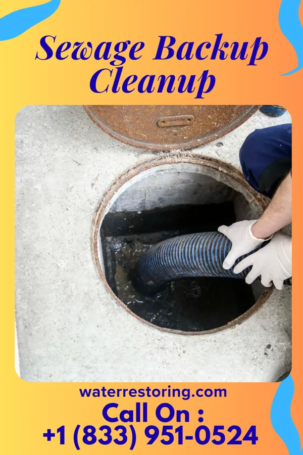 Sewage Backup Cleanup in Ridley Park, PA
