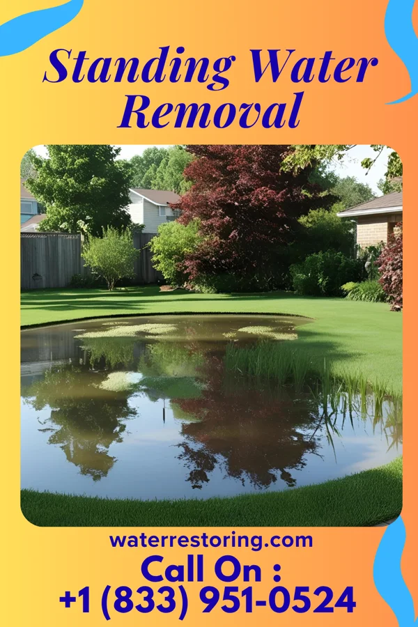 Standing Water Removal in Ridley Park, PA